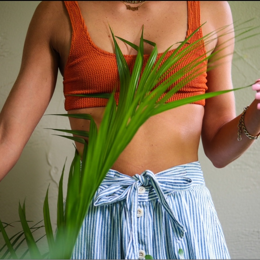 Madewell Skirt